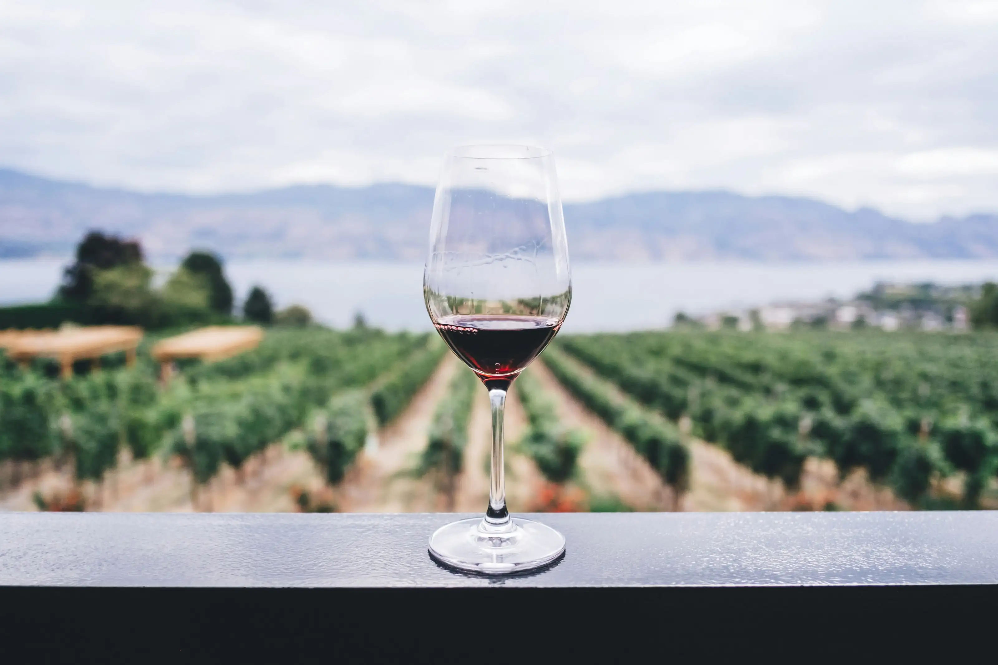 Ein Glas Rotwein vor dem Blick über Weinberge