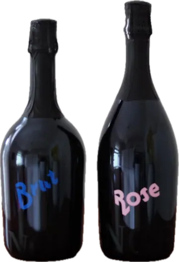 Flasche Engel 2-er Set Pet Nat