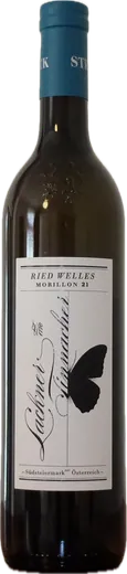 Flasche Lackner-Tinnacher Tinnacher, Morillon Ried Welles 2021